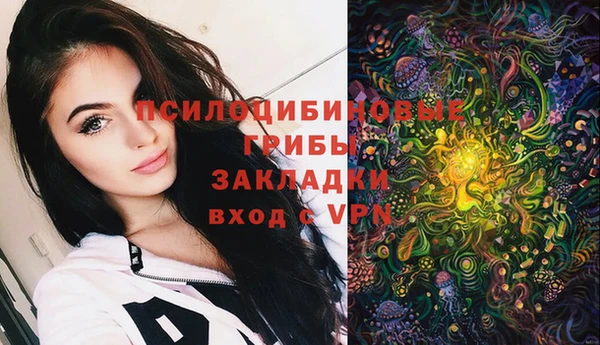 марки lsd Михайлов