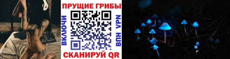 Псилоцибиновые грибы GOLDEN TEACHER  Купить где  Красный Кут 
